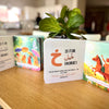 Lighting Up Little Hearts with Qur'an - Book 1 & 2